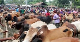 কোরবানির পশুর হাটগুলোতে জাল নোটের বিস্তার ঠেকাতে বিশেষ উদ্যোগ