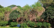 সাড়ে ৩শ’ বছরের মোগল স্থাপত্যের সাক্ষী : ঢাকার ঐতিহাসিক হাজী খাজা শাহবাজ মসজিদ