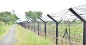 কুলাউড়া সীমান্তে বিএসএফের গুলিতে বাংলাদেশী নিহত